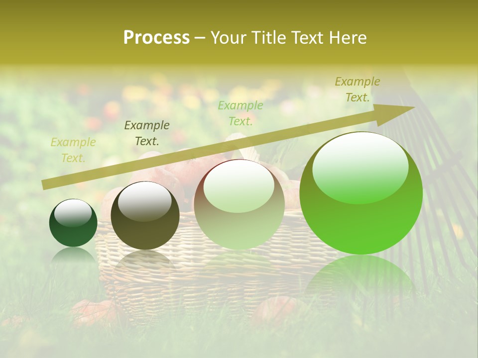 Basket Outdoors Season PowerPoint Template