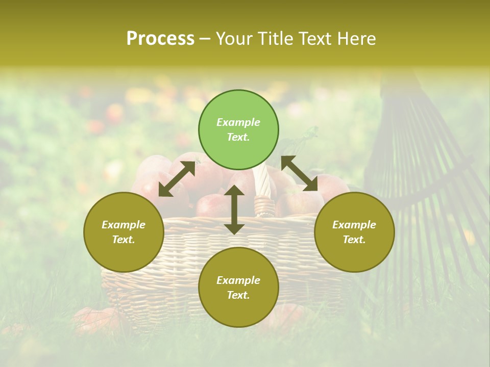 Basket Outdoors Season PowerPoint Template