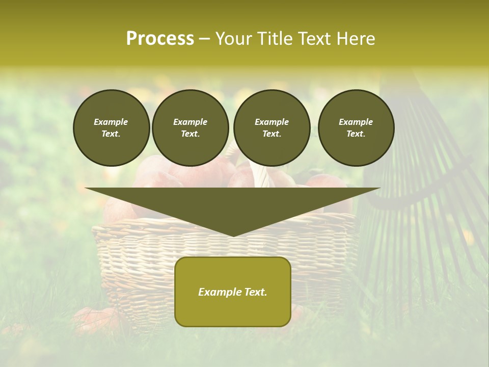 Basket Outdoors Season PowerPoint Template