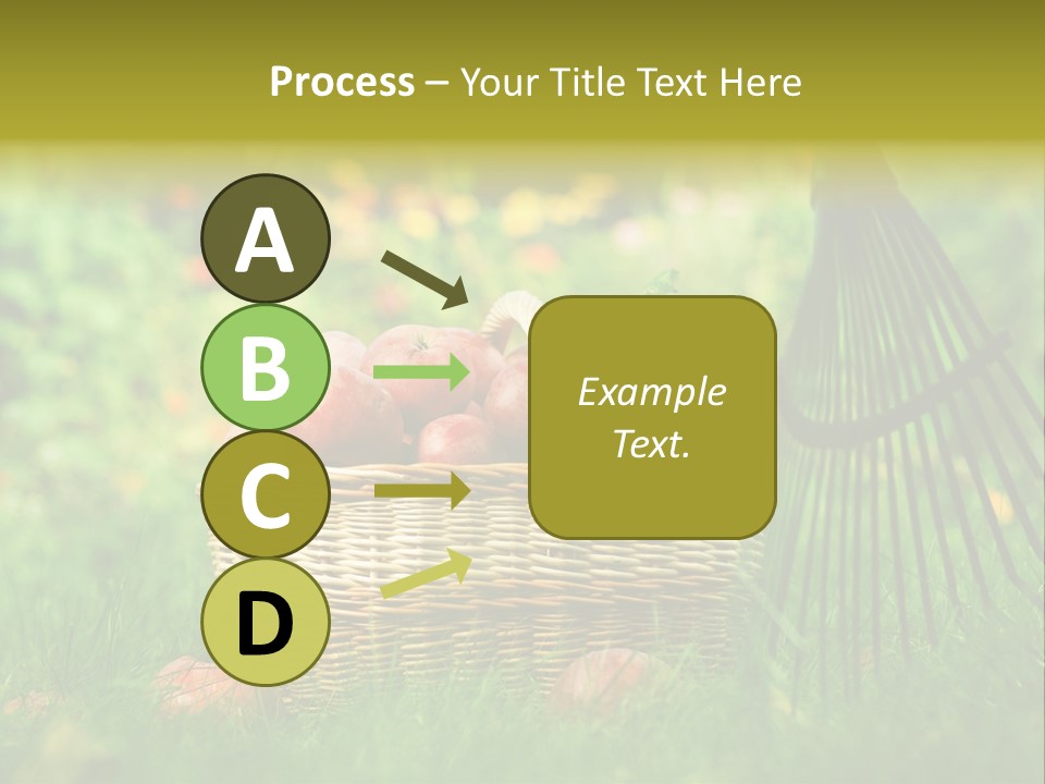 Basket Outdoors Season PowerPoint Template