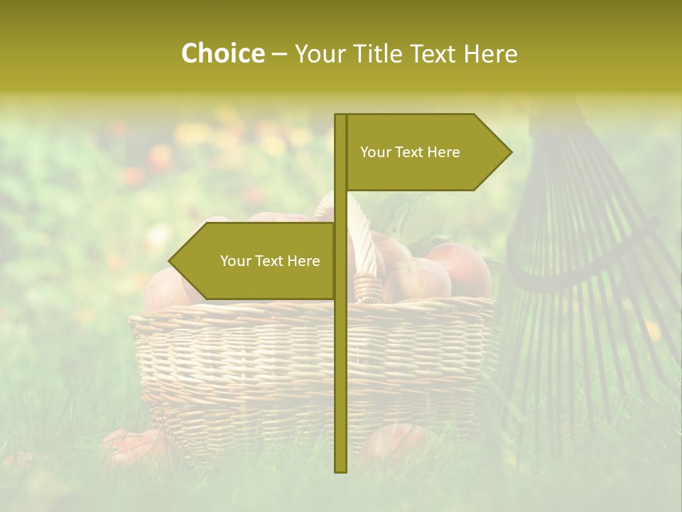 Basket Outdoors Season PowerPoint Template