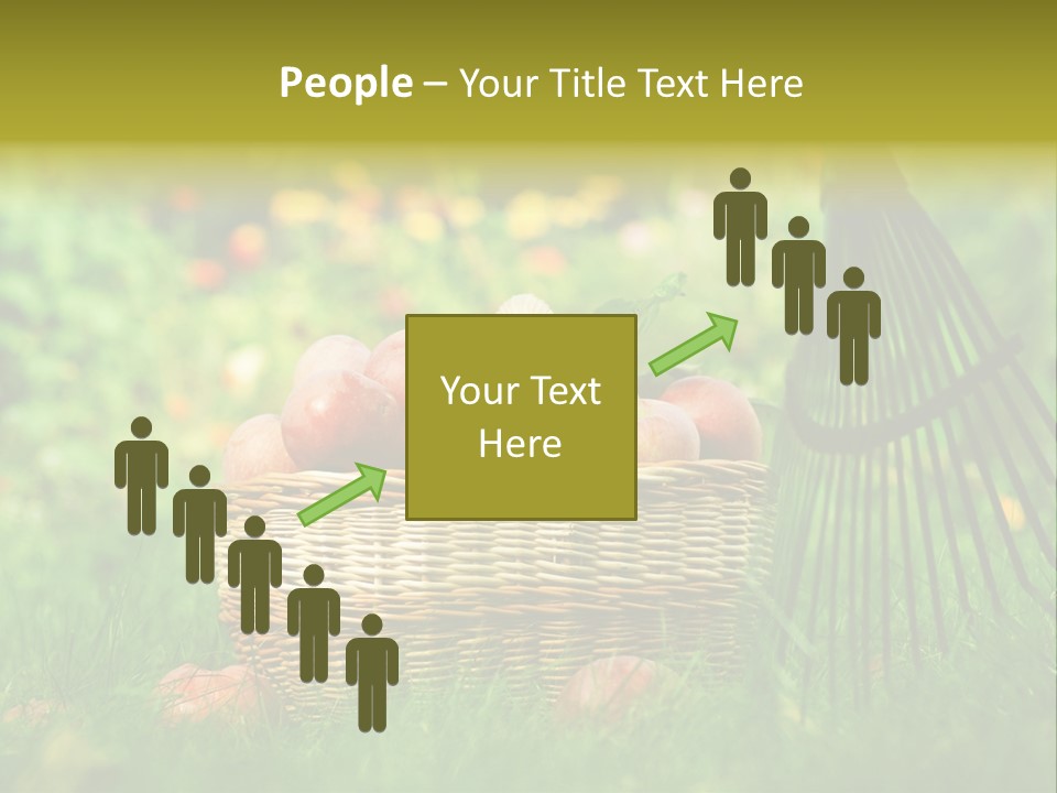 Basket Outdoors Season PowerPoint Template