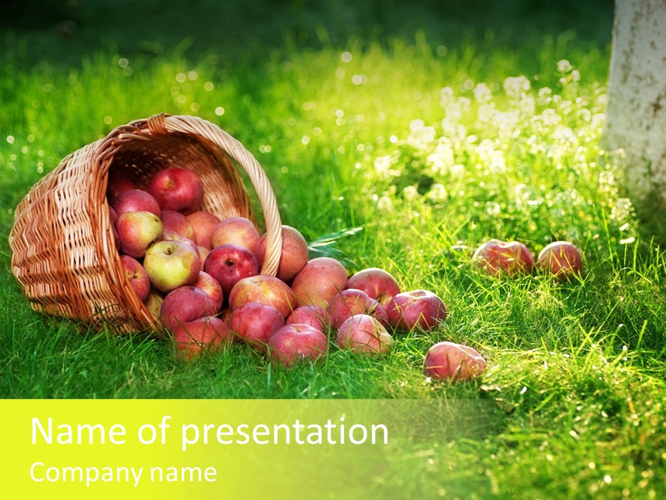 Delicious Branch Orchard PowerPoint Template