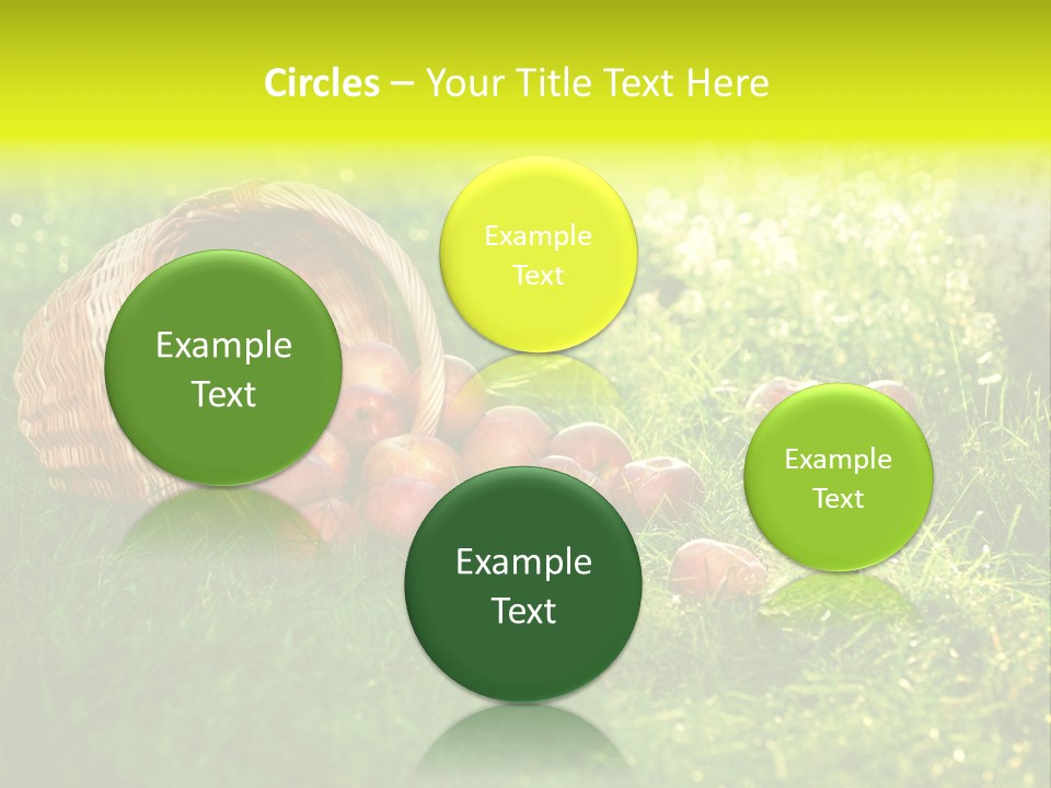 Delicious Branch Orchard PowerPoint Template