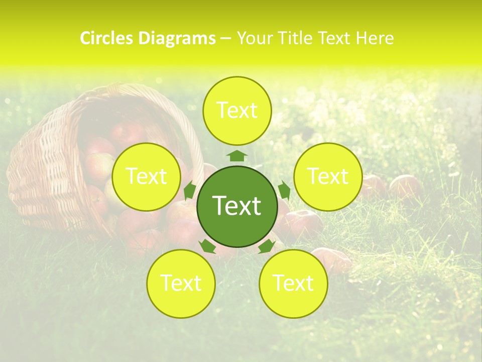 Delicious Branch Orchard PowerPoint Template