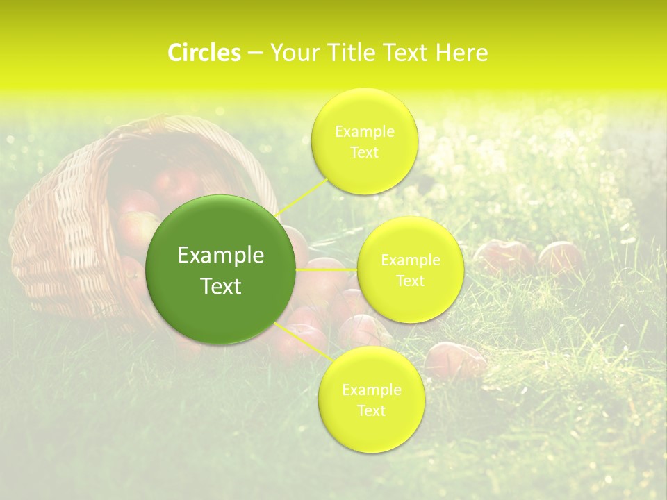 Delicious Branch Orchard PowerPoint Template