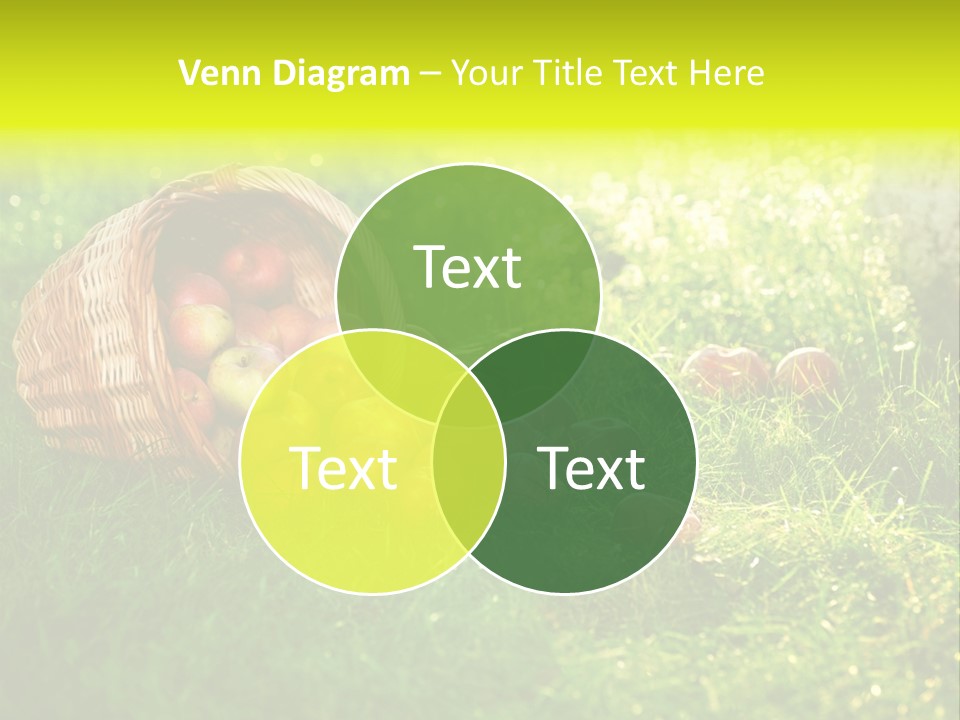 Delicious Branch Orchard PowerPoint Template