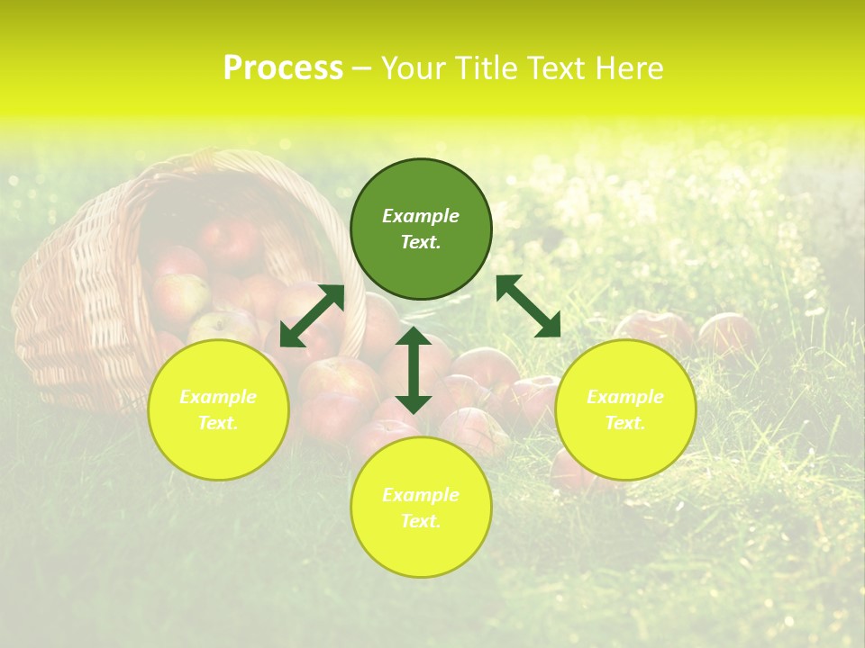 Delicious Branch Orchard PowerPoint Template
