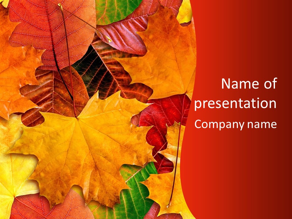 Macro Seamlessly Leaf PowerPoint Template