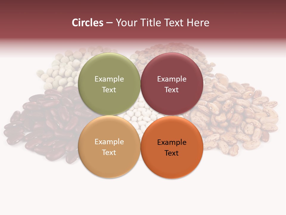 Pinto Bean Ingredients Navy Bean PowerPoint Template