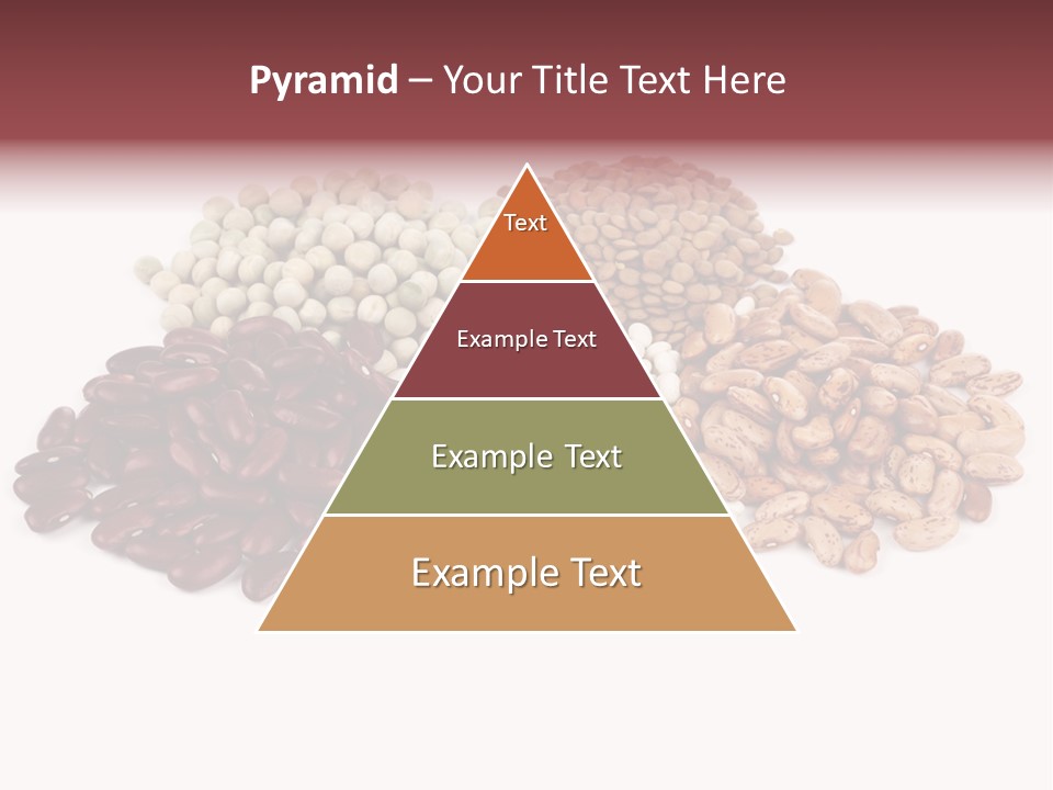 Pinto Bean Ingredients Navy Bean PowerPoint Template