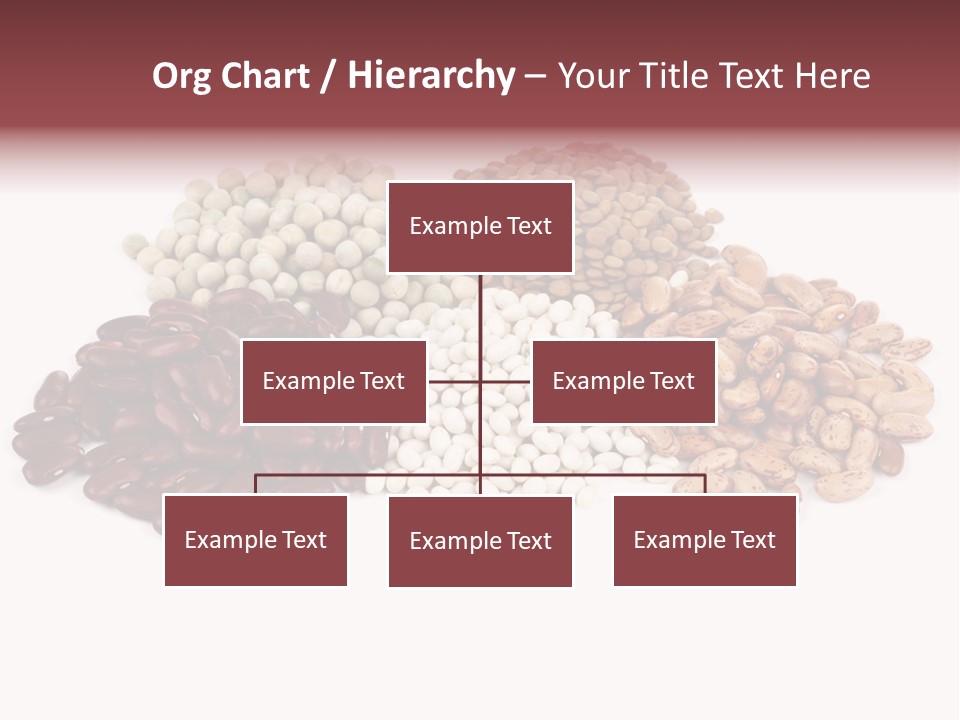 Pinto Bean Ingredients Navy Bean PowerPoint Template