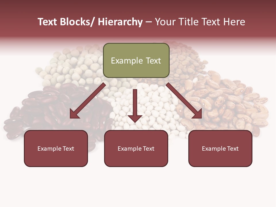 Pinto Bean Ingredients Navy Bean PowerPoint Template