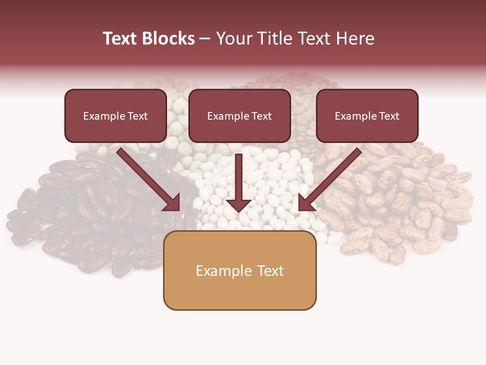 Pinto Bean Ingredients Navy Bean PowerPoint Template