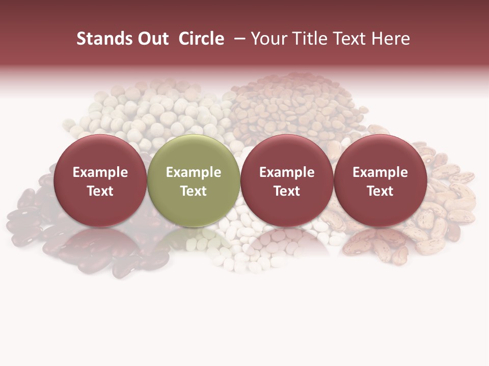 Pinto Bean Ingredients Navy Bean PowerPoint Template