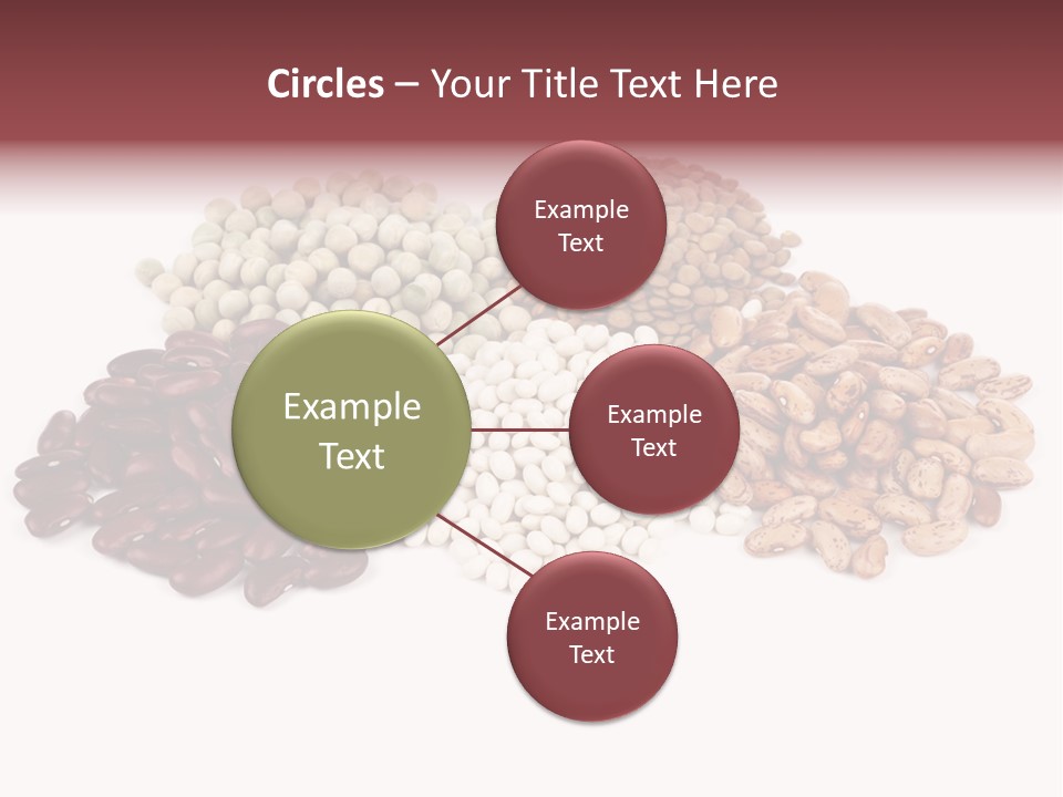 Pinto Bean Ingredients Navy Bean PowerPoint Template