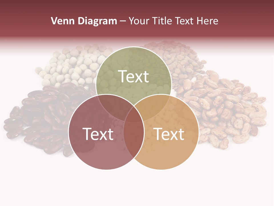 Pinto Bean Ingredients Navy Bean PowerPoint Template