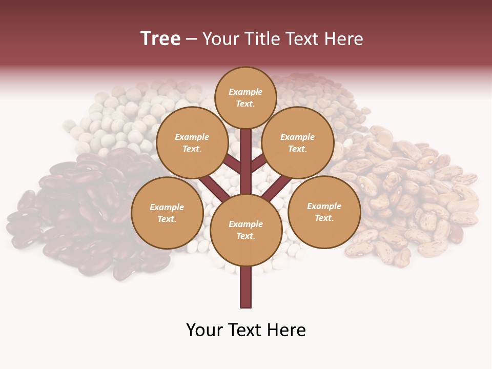 Pinto Bean Ingredients Navy Bean PowerPoint Template