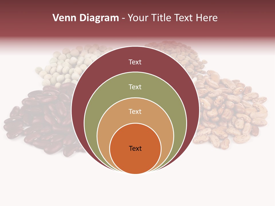 Pinto Bean Ingredients Navy Bean PowerPoint Template