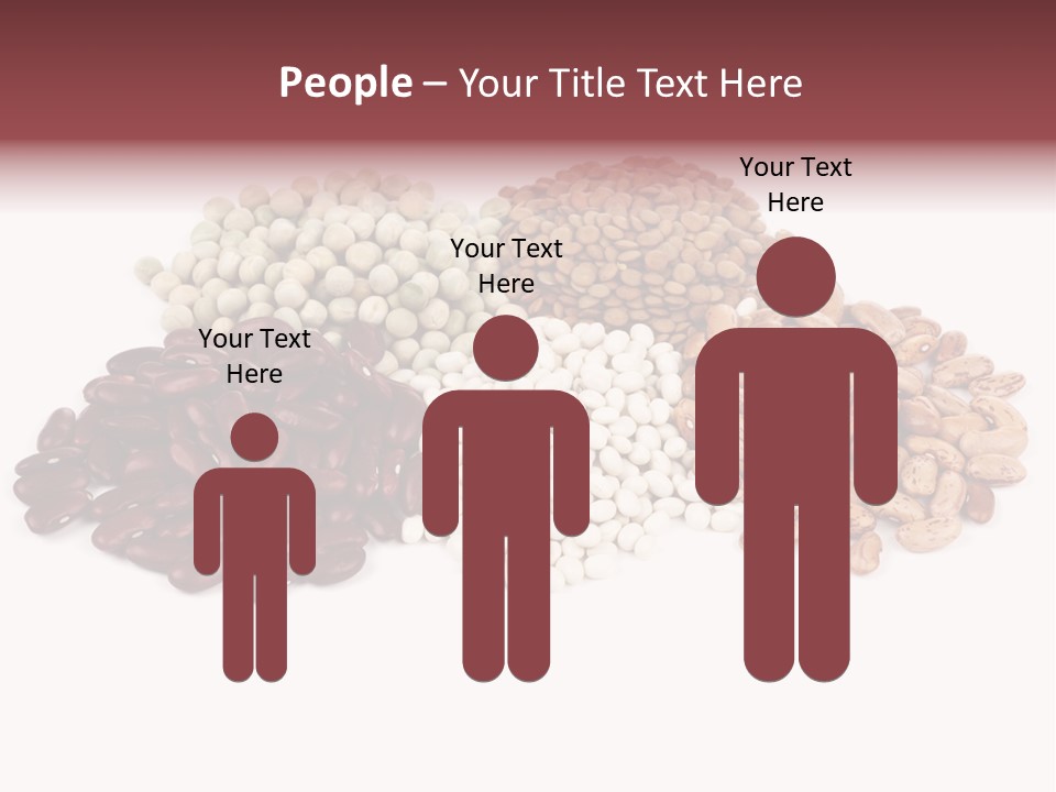 Pinto Bean Ingredients Navy Bean PowerPoint Template