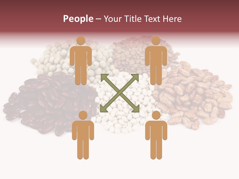 Pinto Bean Ingredients Navy Bean PowerPoint Template