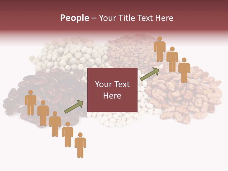 Pinto Bean Ingredients Navy Bean PowerPoint Template