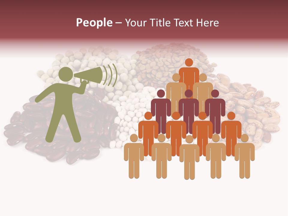 Pinto Bean Ingredients Navy Bean PowerPoint Template