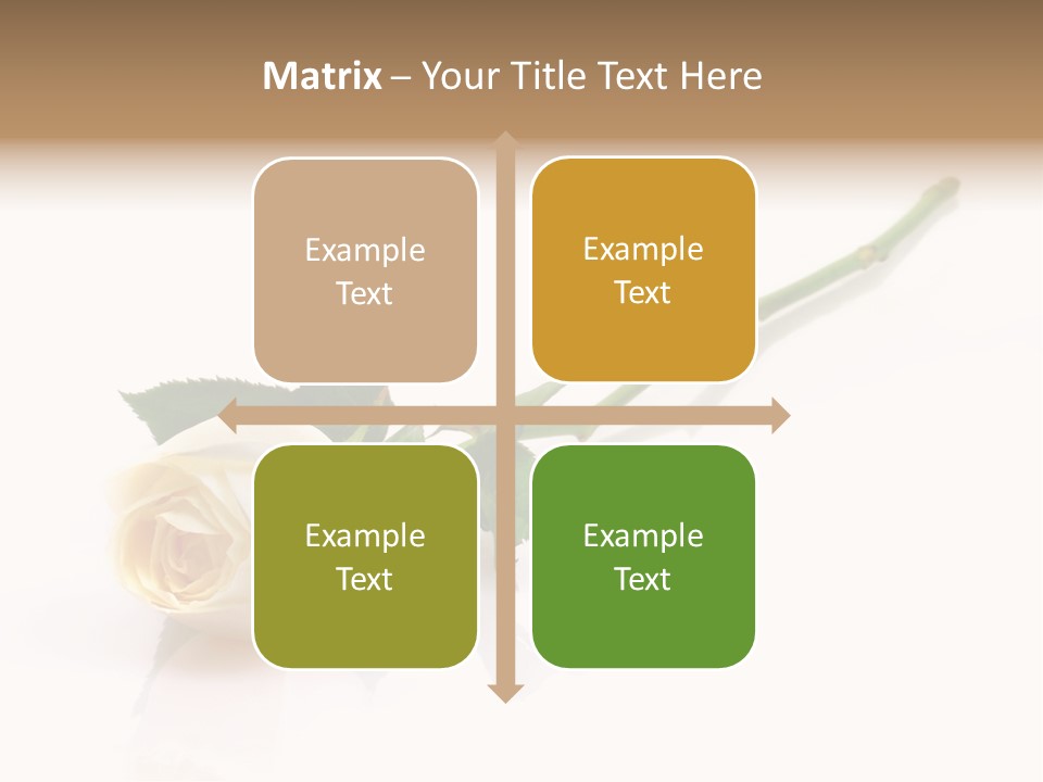 Beauty Soft Fresh PowerPoint Template