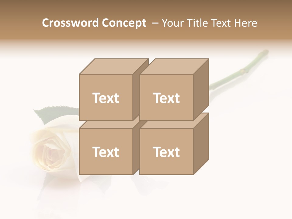 Beauty Soft Fresh PowerPoint Template