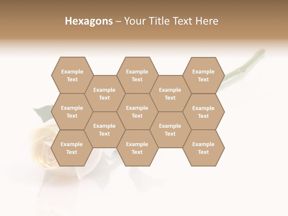 Beauty Soft Fresh PowerPoint Template