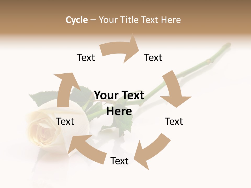 Beauty Soft Fresh PowerPoint Template