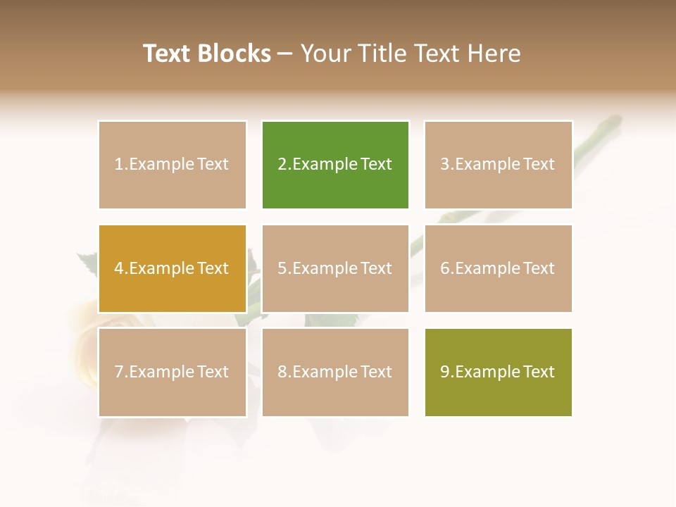 Beauty Soft Fresh PowerPoint Template