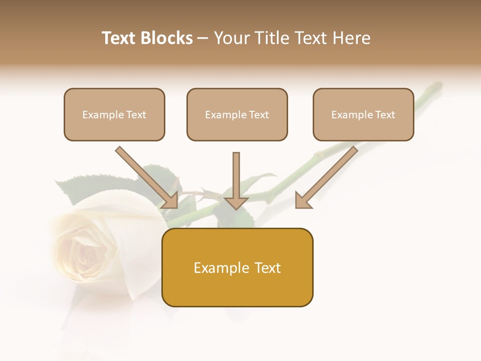 Beauty Soft Fresh PowerPoint Template