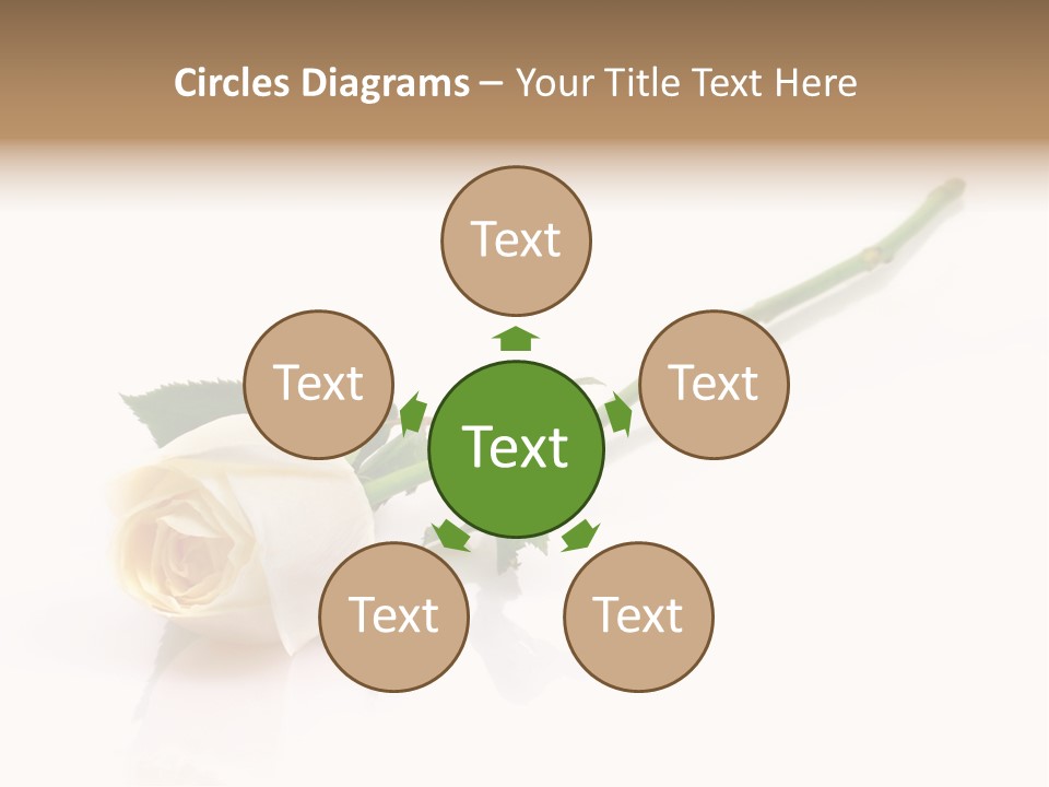 Beauty Soft Fresh PowerPoint Template