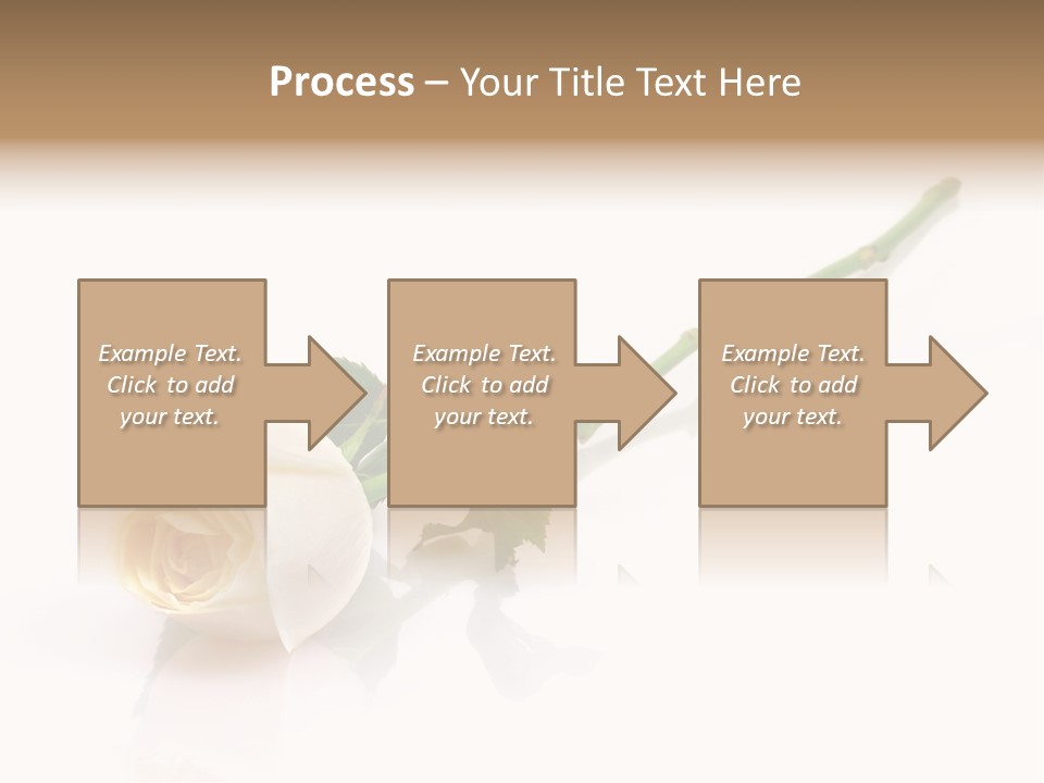 Beauty Soft Fresh PowerPoint Template