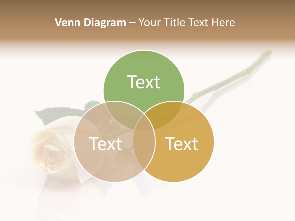 Beauty Soft Fresh PowerPoint Template