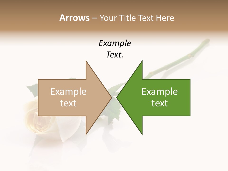 Beauty Soft Fresh PowerPoint Template