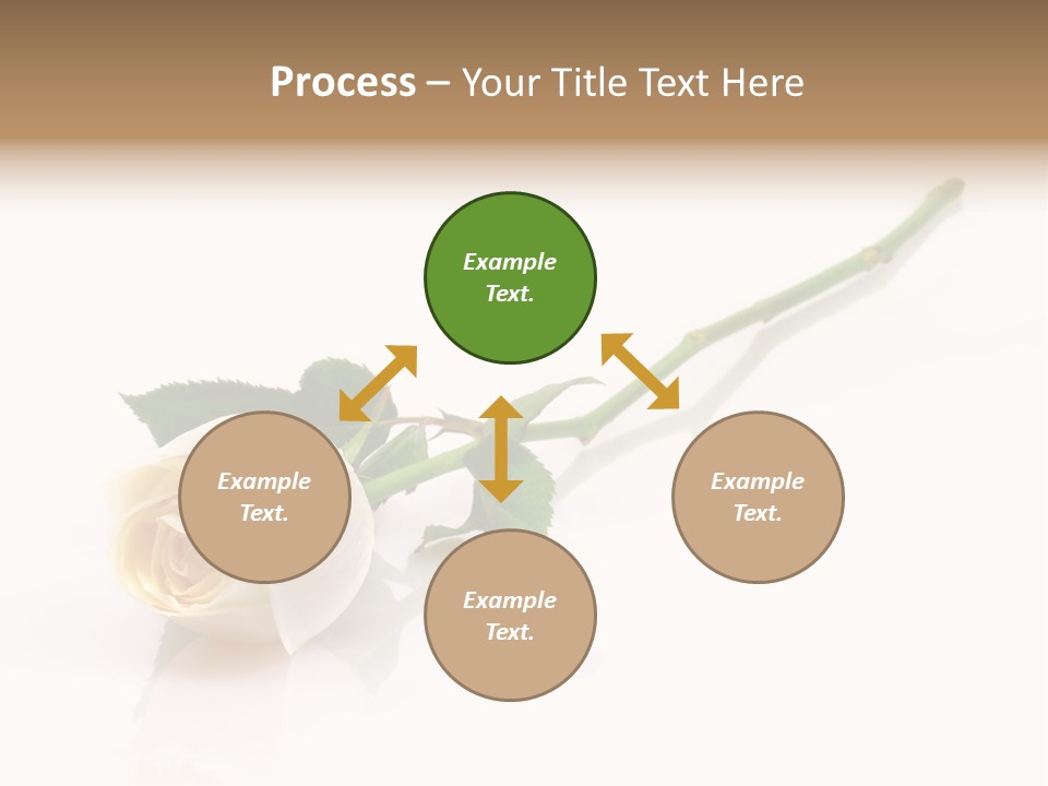 Beauty Soft Fresh PowerPoint Template