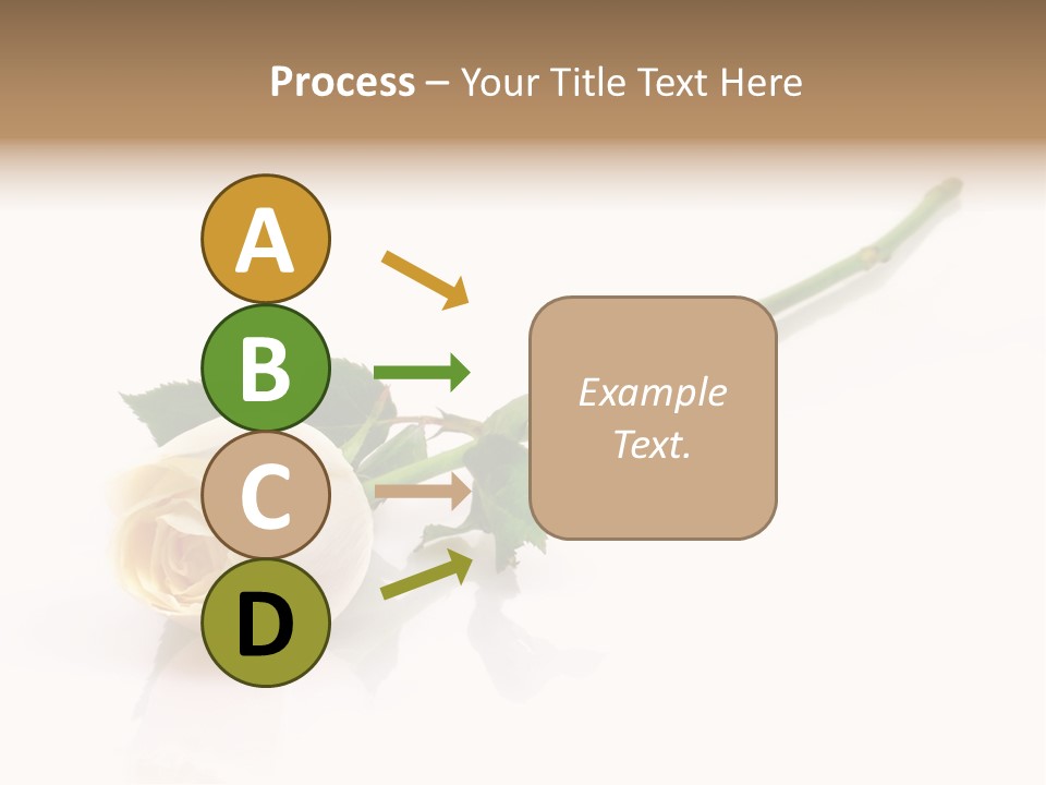 Beauty Soft Fresh PowerPoint Template