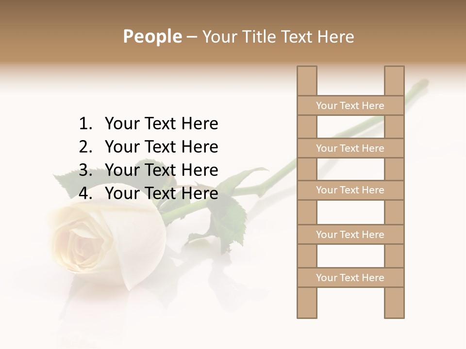 Beauty Soft Fresh PowerPoint Template