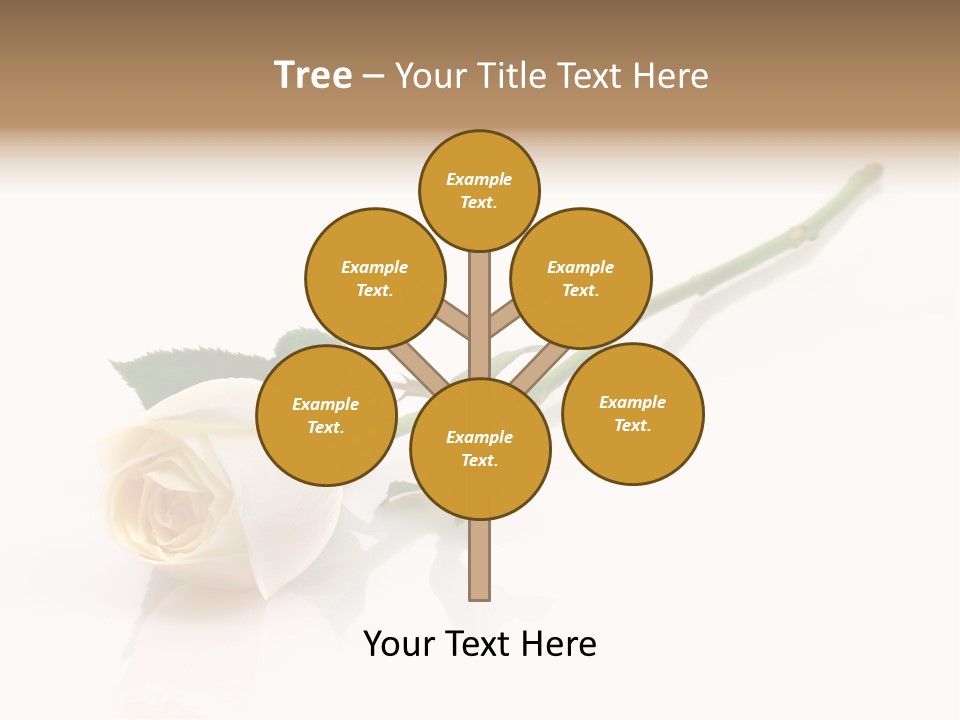 Beauty Soft Fresh PowerPoint Template