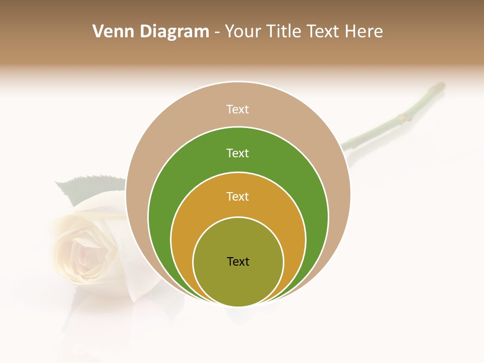 Beauty Soft Fresh PowerPoint Template