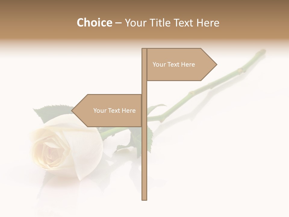 Beauty Soft Fresh PowerPoint Template