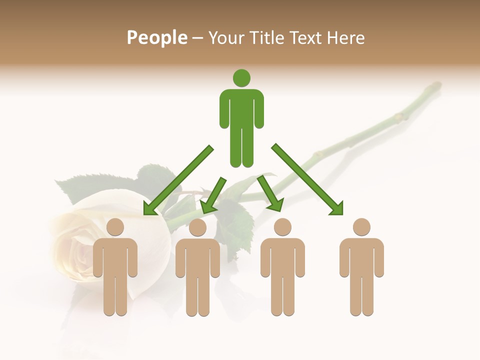 Beauty Soft Fresh PowerPoint Template