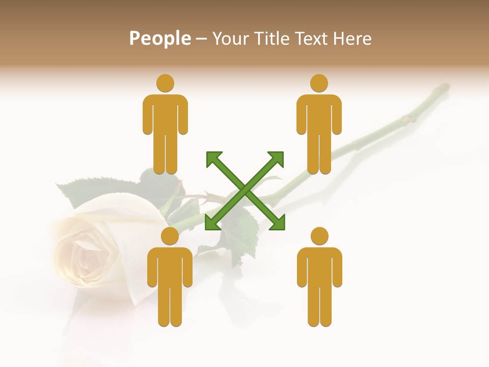 Beauty Soft Fresh PowerPoint Template