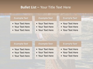 A Man In A Costume On A Boat With A Dog PowerPoint Template