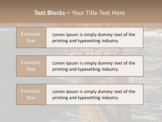 A Man In A Costume On A Boat With A Dog PowerPoint Template