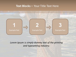 A Man In A Costume On A Boat With A Dog PowerPoint Template