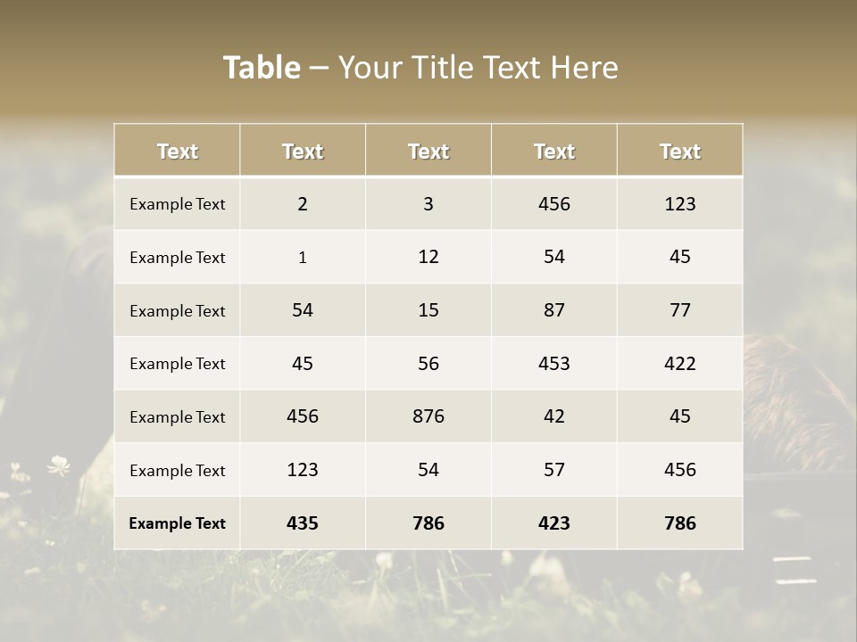 Person Businessman Male PowerPoint Template