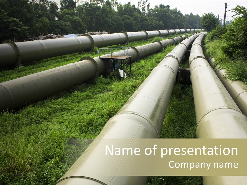 Nuts Pipeline Forest PowerPoint Template